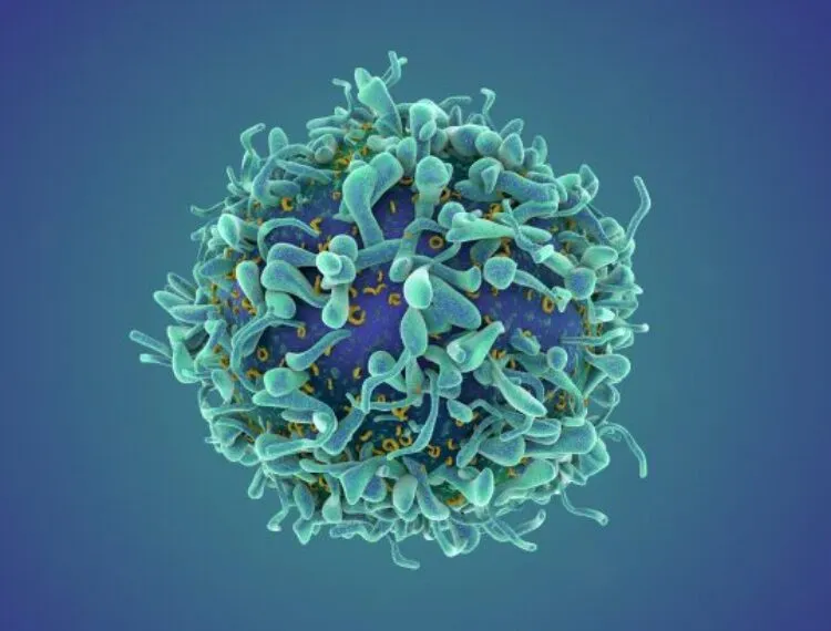 bispecific t-cell engager